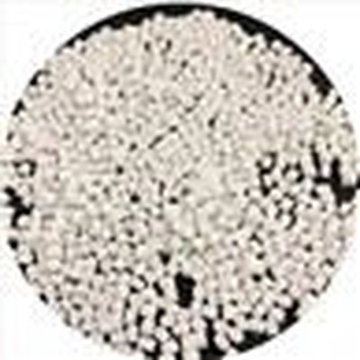 JADE PET Resin CZ 302 PET Granules Prices